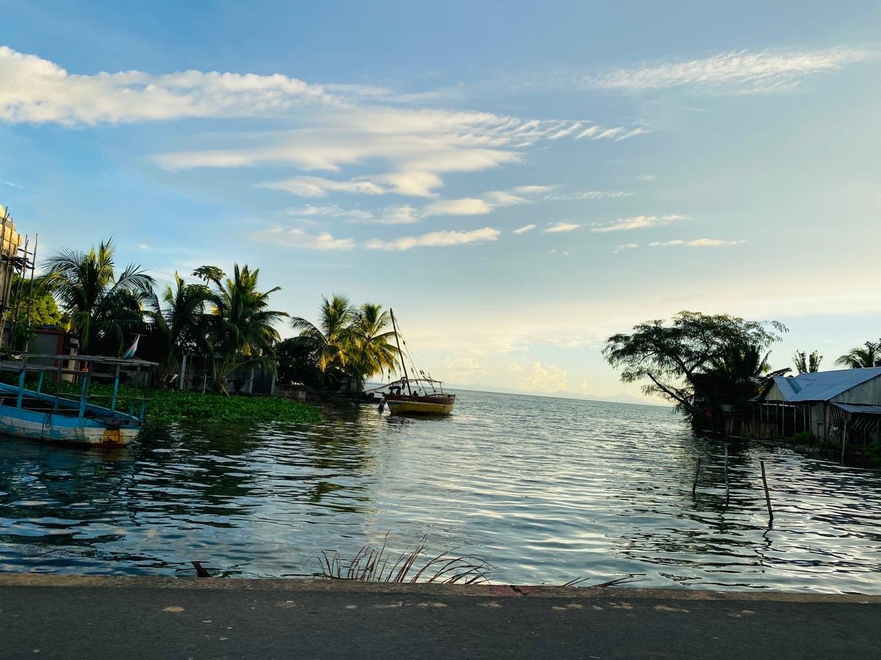 Biodiversité marine